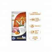 N&D Balkabaklı Kuzu Etli Küçük Irk Yetişkin Köpek Maması 7 Kg - 1