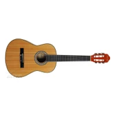 Clariss CCG50 Nat 3/4 Junior Klasik Gitar (Taşıma Çantası Hediyeli) - 2