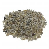 100gr. Nassa Shell Doğal Deniz Kabuğu - 1
