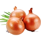 Soğan (Banka-Banko) Tohumu 5 gr Paket - 1