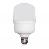 Ferled Torch 30 6500k Beyaz Işık 30 Watt Led Ampül E27 Duy - 1