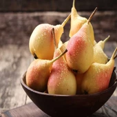 Tüplü, Aşılı, JUNE GOLD / Haziran Altını Armut Fidanı - 2