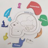 Moon Beavers Kafanın Yapısı Ahşap Eğitici Oyun - 3