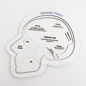 Moon Beavers Kafanın Yapısı Ahşap Eğitici Oyun - 4