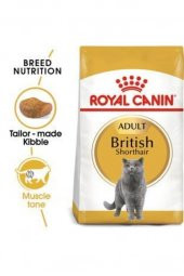 Royal Canin Royal Canin British Shorthair Adult Kedi Kuru Maması 2 Kg - 2