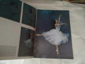 LET US PAINT DANCER 30 (BALERİN ÇİZİMLERİ) - 2