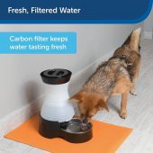 Petsafe Healthy Pet Su Filtresi - 2