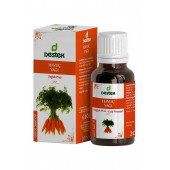 Destek Havuç Yağı(Soğuk Pres)20 ml - 1
