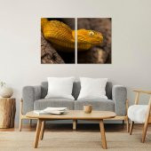 Kitap Şeyleri 2 Parça Makro Çekim Dikenli Çalı Engereği Mdf Tablo 30x40 - 1