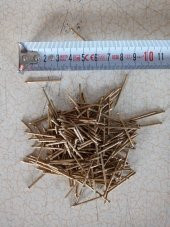 1 KĞ - 3 CM.LİK TEL ÇİVİ-SARI-TEPESİZ-BAŞSIZ - 1