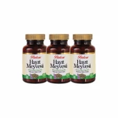 BLN HAYIT MEYVESİ EKSTRAKTI KAPSÜL 375 MG*60 3 Adet - 1