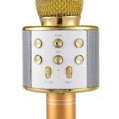 Karaoke Mikrofon Bluetooth Hoparlör Usb Sd Kart ve Aux Girişli - Gold - 5