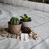 3x40 m BEYAZ SULZER KUMAŞ SERA TABAN ÖRTÜSÜ JÜT BLUEBERRY PEYZAJ UYGULAMA ÖRTÜSÜ MULCH NAYLONU ÇİLEK MALÇ thumbnail 1