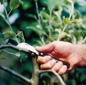 Fiskars K62 Aşı Bıçağı Kancalı 170mm - 4