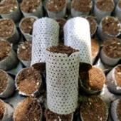 832 Adet Paper Pot( 8 Viyol )Hızlı Çimlenme Sağlayan Tohum ve Çelik Köklendirme - 1