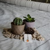 3x40 metre SULZER KUMAŞ SERA TABAN ÖRTÜSÜ JÜT BLUEBERRY PEYZAJ UYGULAMA ÖRTÜSÜ MULCH NAYLONU ÇİLEK MALÇ thumbnail 5