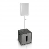 LD-Systems LDV212B 2x12" Pasif Subwoofer - 4