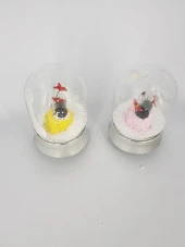 Sağlam SAĞ 068 Küre Fanus Kartanesi Müzikli - 1