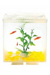 Aquasyncroapple Windows 15x15x18 - 1