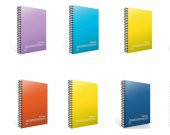 Gıpta Fresco A4 Plastik Kapak Spiralli 72 Yaprak 4 Kareli + 60 Yaprak 2 Çizgili Defter - 1