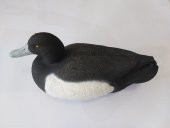 Dr Duck Ördek - Patka - 1