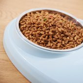 Mikopet Dual Mama Su Kabı-Yeşil - 3