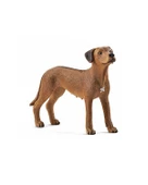 Schleich Rodezya Köpek Figürü - 1