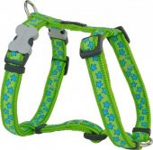 REDDİNGO LİME TURKUAZ YILDIZLI KÖPEK GÖĞÜS TASMASI S /15MM - 5
