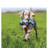 Kong Cross Knots Monkey S-M Köpek Oyuncağı - 12