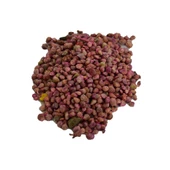 Ispanak Tohumu Zirai Ekim İçin İlaçlıdır 100GR - 2