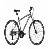 Bisan GUIDA 2022 (amt) (54cm) - 1