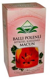 Themra Ballı Polenli Karışım Macun - 420 gr - 1