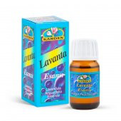 Karden Lavanta Esansı 20 ml - 2