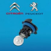 GÜNDÜZ FAR AMPÜLÜ KOMPLE DUYLU 12V-HP24W  3008-5008-C5 - 1