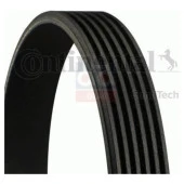 Bosch V Kayışı 6 Pk 1306 Palio Albea Doblo 1.3Jtd 16V 04 Astra H - 1