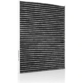 Bosch Polen Filtresi P207 06 C3 09 Ds3 10 Karbonlu 1987432436 - 1