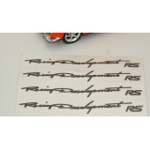 Renault RS Kapı Açma Kolu Racing Devolopment Sticker Seti - 2