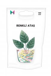 Masaüstü Kırtasiye Renkli Ataş 100 Adet - 1