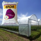 EFOR SERA GÖLGE TOZU DOĞAL GÖLGELEME TOZU 12,5 KG KİMYASAL VE BOYA YOKTUR - 2