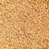 Bozkırım Odun Ateşinde Kavrulmuş Susam 1000 Gr - 3