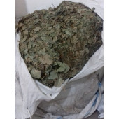 Epimedum Yaprak Bitki Çayı 50 G - 2