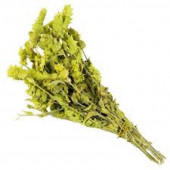 Yayla Çayı 100gr - 1
