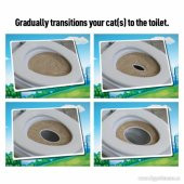 CitiKitty Kedi Tuvalet Eğitim Seti - 3