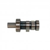 Bajaj Pulsar NS 200 Eksantrik Mili - 1