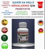 RB PHARMA Organik Probiyotik Kedileriniz Hastalanmaya Son - 1