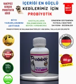 RB PHARMA Organik Probiyotik Köpeklerimiz Hastalanmaya Son - 1