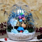 Hoşgeldin Bebek Erkek Yumurta Teraryum - 2
