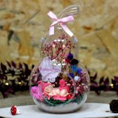 Hoşgeldin Bebek Kız Armut Teraryum - 5