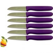 Sürmene Sürbisa 061007 Meyve Bıçağı 6 Lı Set Mor - 1