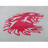 EJDERHA sticker (2Lİ TAKIM) KIRMIZI 11cmx6cm (DRAGON) EJDERHA ETİKETİ ÇIKARTMASI logosu arması thumbnail 2